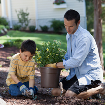 Sharing_father-son-planting-flowers